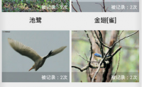 中国野鸟速查 2.3